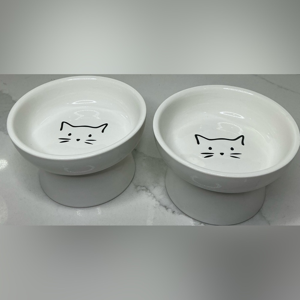 2 Elevated Cat Food Bowl Small Ceramic Raised and Tilted Water Bowl Paws New